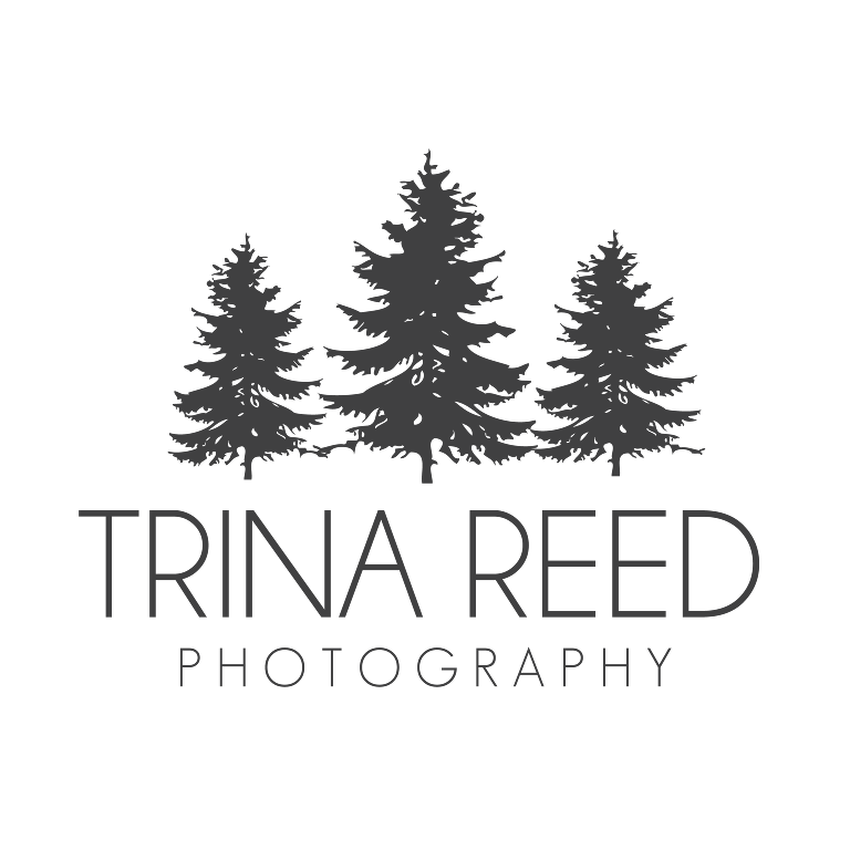 » Trina Reed Photography